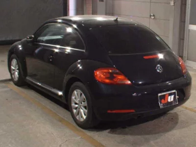 VOLKSWAGEN THE BEETLE