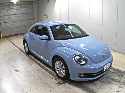 VOLKSWAGEN THE BEETLE