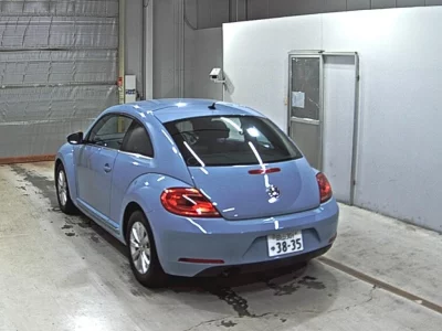 VOLKSWAGEN THE BEETLE