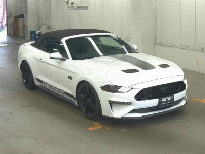 FORD OTHER