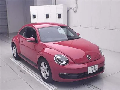 VOLKSWAGEN THE BEETLE