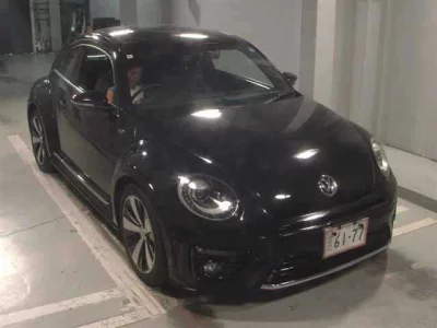VOLKSWAGEN THE BEETLE