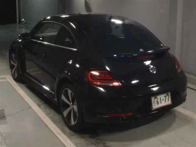VOLKSWAGEN THE BEETLE