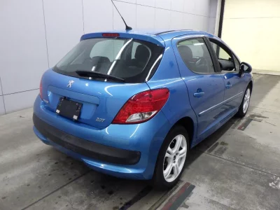 PEUGEOT 207