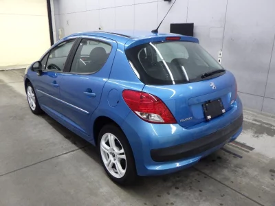 PEUGEOT 207