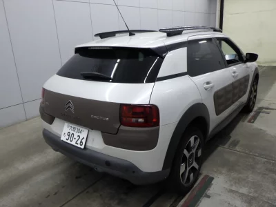 Citroen C4 Cactus
