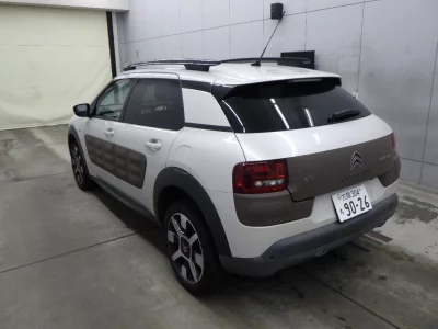 Citroen C4 Cactus