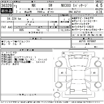 Lexus NX300
