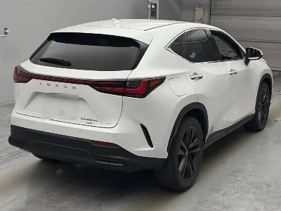 Lexus NX450h+