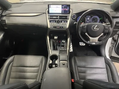Lexus NX300h