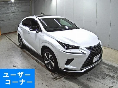 Lexus NX300h