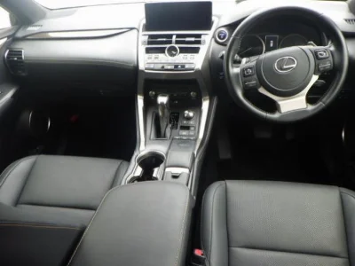Lexus NX300h