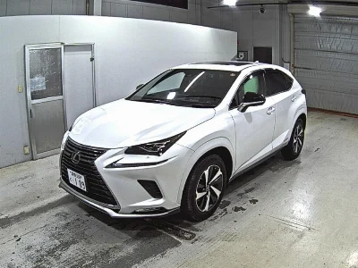 Lexus NX300h