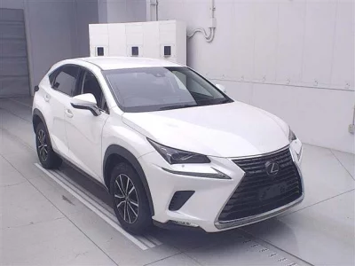 Lexus NX300