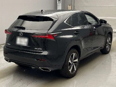 Lexus NX300