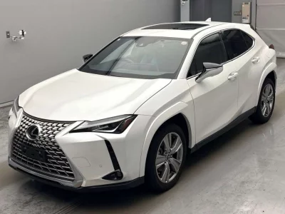 Lexus UX250h
