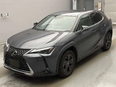 Lexus UX250h