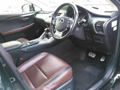 LEXUS NX