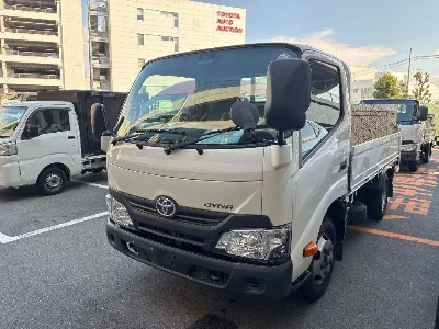 TOYOTA DYNA