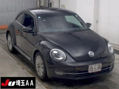 VOLKSWAGEN THE BEETLE