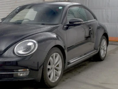 VOLKSWAGEN THE BEETLE