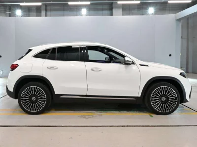 MERCEDES BENZ EQA