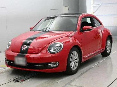 VOLKSWAGEN THE BEETLE