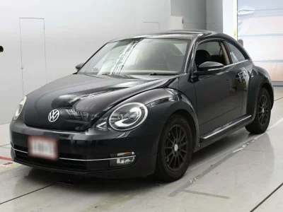 VOLKSWAGEN THE BEETLE