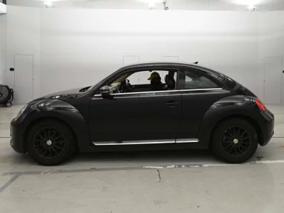 VOLKSWAGEN THE BEETLE