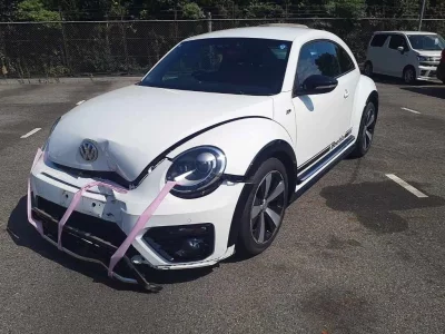 VOLKSWAGEN THE BEETLE