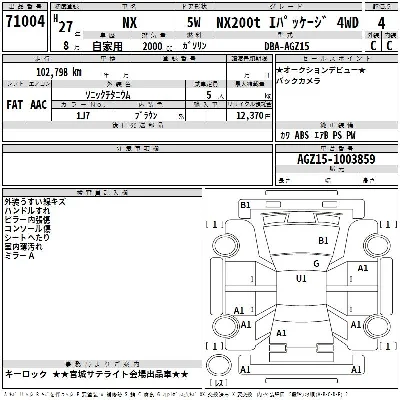 Lexus NX300