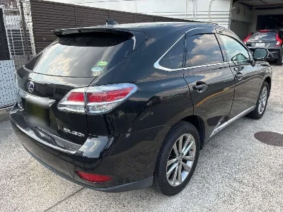 LEXUS RX