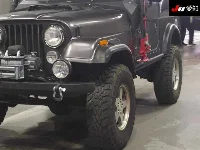Цена авто Jeep Wrangler с аукционов Японии, номер кузова TJ40S, пробег 84 000, оценка 2