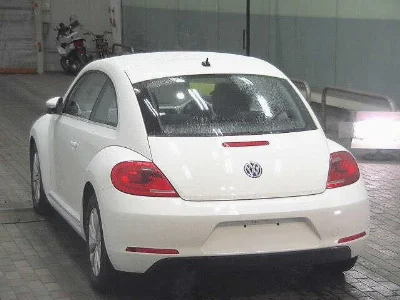 VOLKSWAGEN THE BEETLE