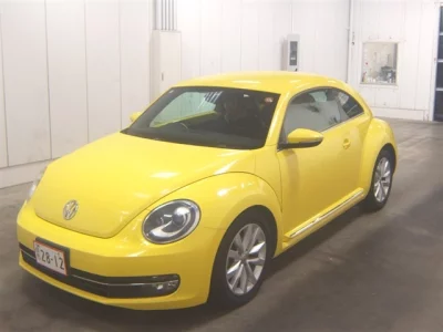 VOLKSWAGEN THE BEETLE