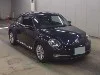 VOLKSWAGEN THE BEETLE