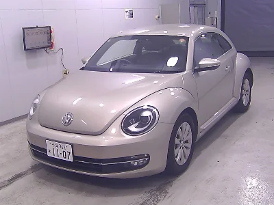 VOLKSWAGEN THE BEETLE