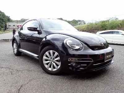 VOLKSWAGEN THE BEETLE