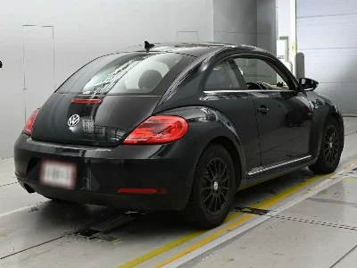 VOLKSWAGEN THE BEETLE
