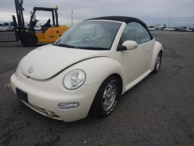 VOLKSWAGEN BEETLE