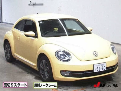 VOLKSWAGEN THE BEETLE