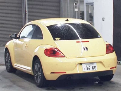 VOLKSWAGEN THE BEETLE