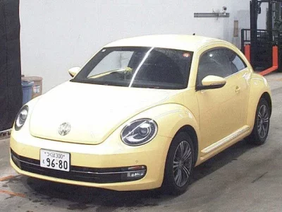 VOLKSWAGEN THE BEETLE