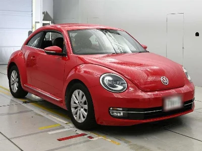 VOLKSWAGEN THE BEETLE