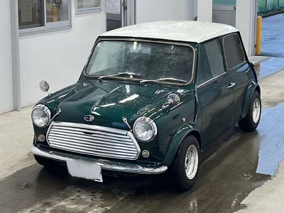 ROVER MINI