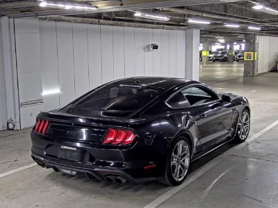 FORD OTHER