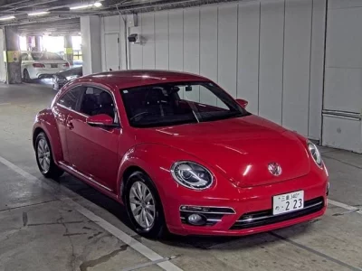 VOLKSWAGEN THE BEETLE
