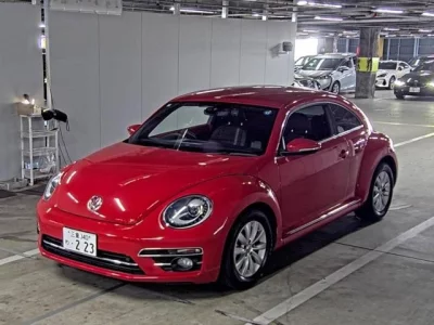 VOLKSWAGEN THE BEETLE