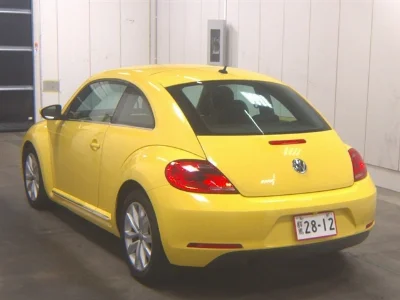 VOLKSWAGEN THE BEETLE