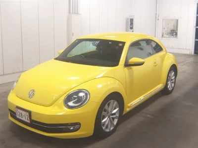 VOLKSWAGEN THE BEETLE